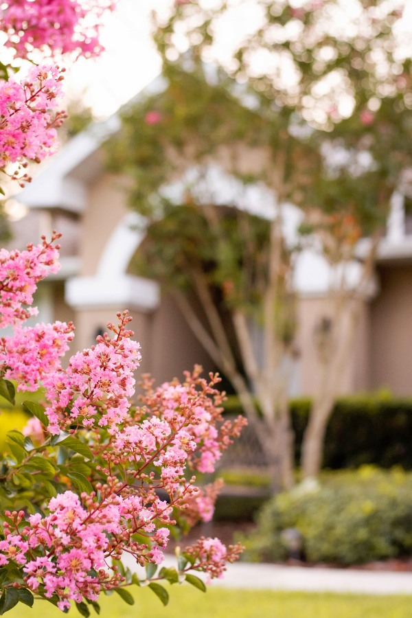 Buying a Home